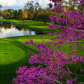 The Ultimate Guide to Checking In at Golf Events in Fulton County, GA